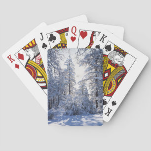 Baraja De Cartas California, Bosque Nacional Cleveland, Laguna 1