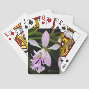 Baraja De Cartas Caligarium del Epidendrum