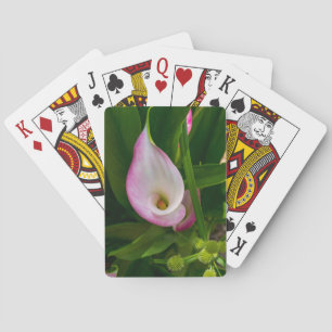 Baraja De Cartas Calla Roll