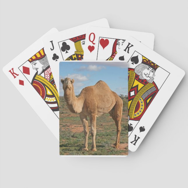 Baraja De Cartas Camello (Reverso)