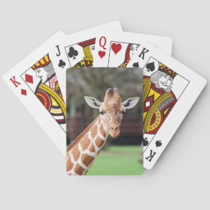 Baraja De Cartas Camelopard (jirafa)