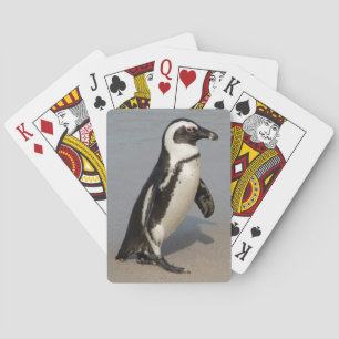 Baraja De Cartas Caminata africana de pingüinos