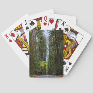 Baraja De Cartas Camino directo por el bosque de secuoya.