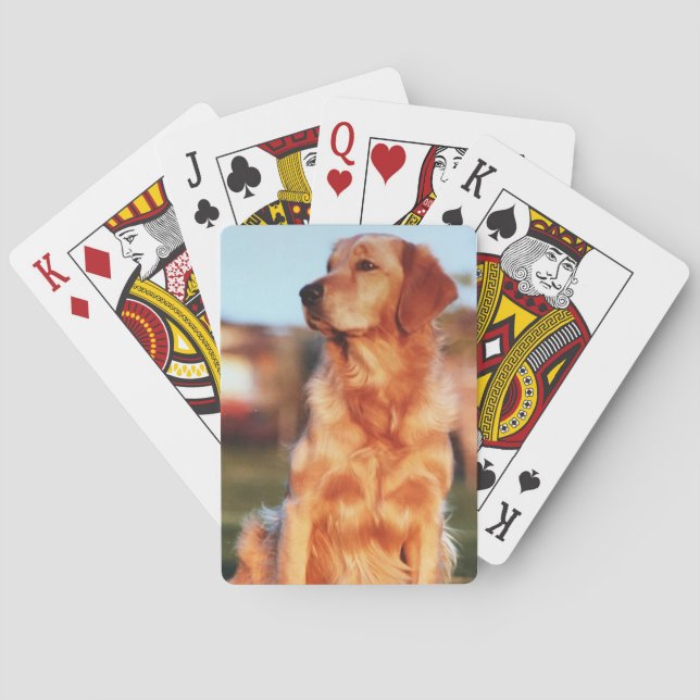 Baraja De Cartas Campeón de oro, perro Mascota asombroso (Reverso)