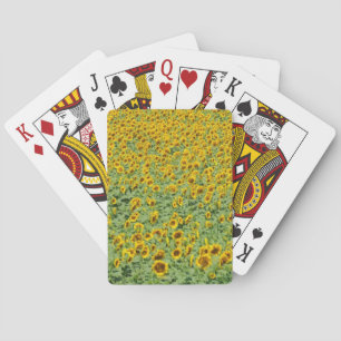 Baraja De Cartas Campo amarillo del girasol