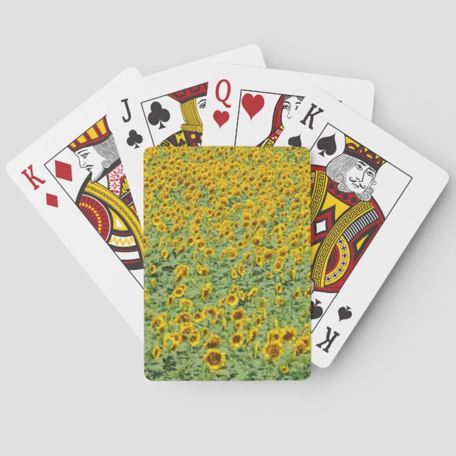 Baraja De Cartas Campo amarillo del girasol (Reverso)