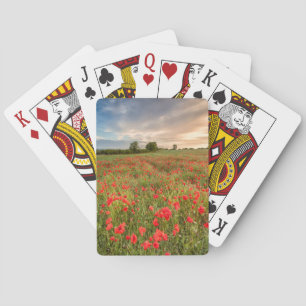 Baraja De Cartas Campo de amapolas