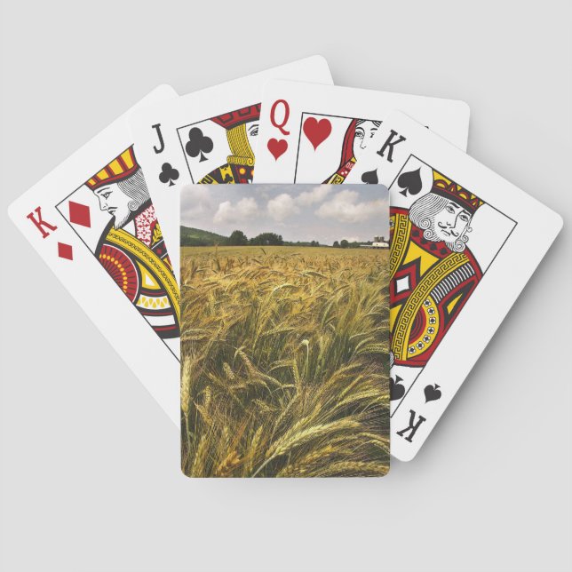 Baraja De Cartas Campo de grano (Reverso)