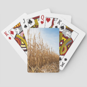 Baraja De Cartas Campo de maíz en parte cosechado