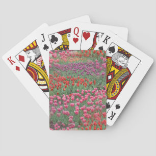 Baraja De Cartas Campo De Tulipanes