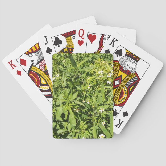 Baraja De Cartas Campo floral verde exuberante (Reverso)