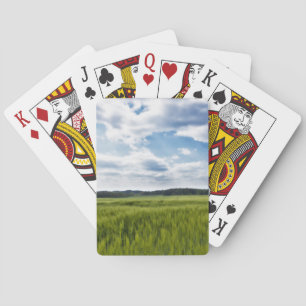 Baraja De Cartas Campos verdes y cielo azul