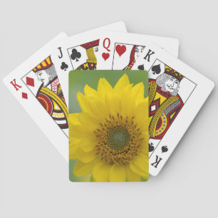 Baraja De Cartas Canadá, Columbia Británica, Isla de Vancouver 7
