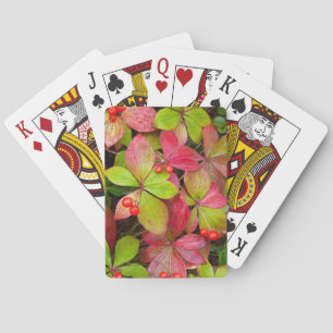 Baraja De Cartas Canadá, Columbia Británica, Monte Robson