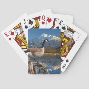 BARAJA DE CARTAS CANADÁ GOOSE EN EL LAGO
