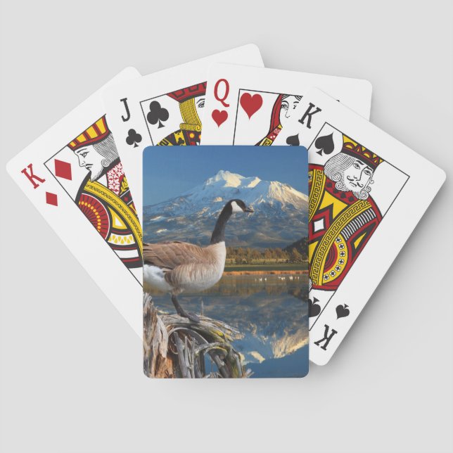 BARAJA DE CARTAS CANADÁ GOOSE EN EL LAGO (Reverso)