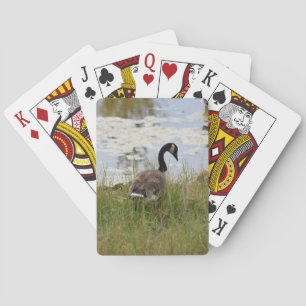 Baraja De Cartas Canada Goose Playing Cards