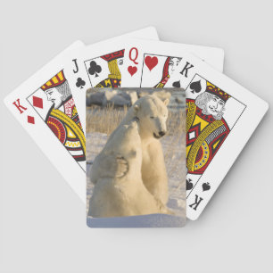 Baraja De Cartas Canadá, Manitoba, bahía de Hudson, Churchill.