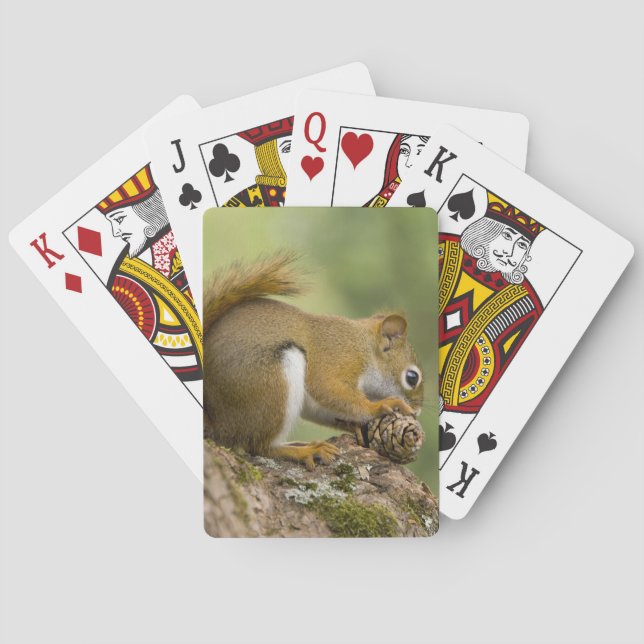 Baraja De Cartas Canadá, Nueva Escocia, Halifax. Jardines públicos, (Reverso)