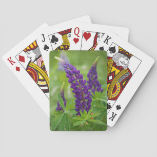 Baraja De Cartas Canadá, Nuevo Brunswick, .