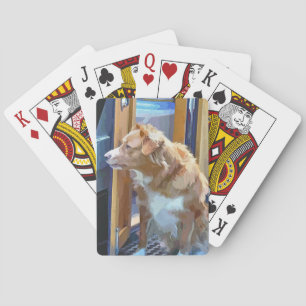 BARAJA DE CARTAS CANALES
