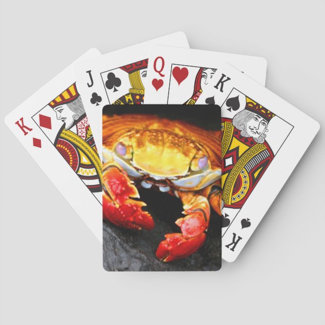 Baraja De Cartas Cangrejo de Galápagos (Reverso)