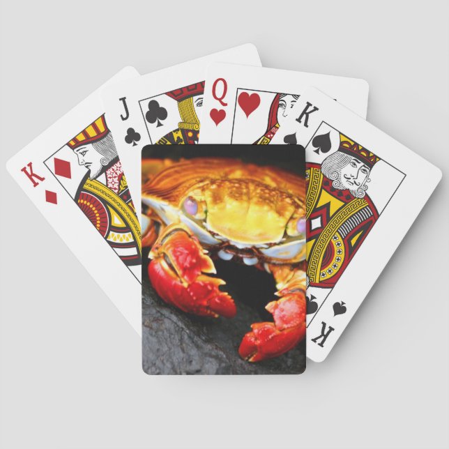 Baraja De Cartas Cangrejo de las Islas Galápagos (Reverso)