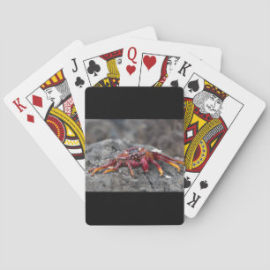 Baraja De Cartas Cangrejo de roca roja