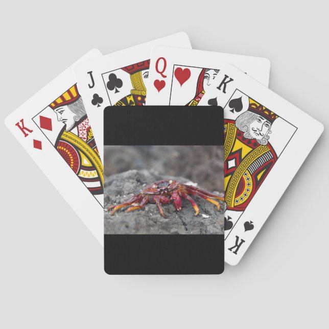 Baraja De Cartas Cangrejo de roca roja (Reverso)