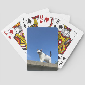 Baraja De Cartas Canto de tarjetas para el gato 歌 う 猫 ラ プ