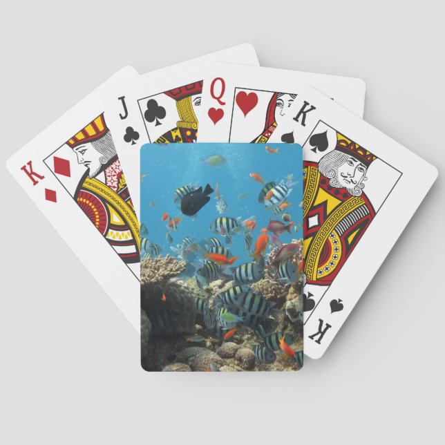 Baraja De Cartas Caos tropical de los pescados (Reverso)