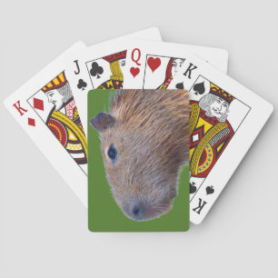 Baraja De Cartas Capibara