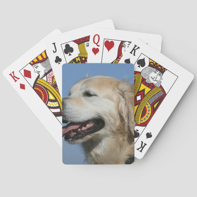 Baraja De Cartas Captura de pantalla de Golden Retriever 4 (Reverso)