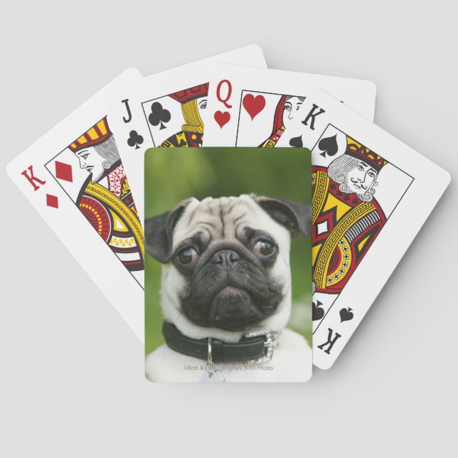 Baraja De Cartas Captura de pantalla de Pug (Reverso)