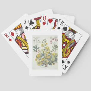 Baraja De Cartas Capuchinas y margaritas: 1.Nasturtium Indicum; 2.B