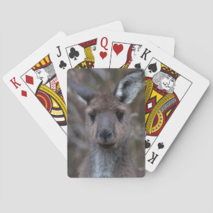 Baraja De Cartas Cara canguro