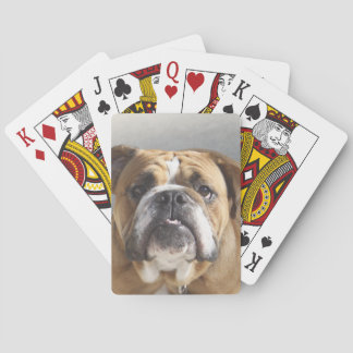 Baraja De Cartas Cara de bulldog - Bulldog inglés, marrón