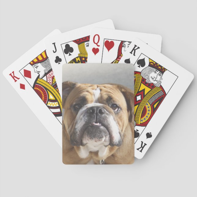 Baraja De Cartas Cara de bulldog - Bulldog inglés, marrón (Reverso)