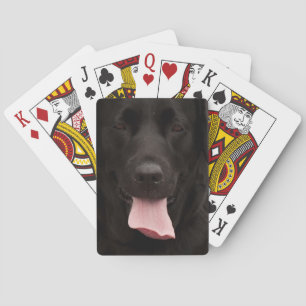 Baraja De Cartas Cara de perro negro