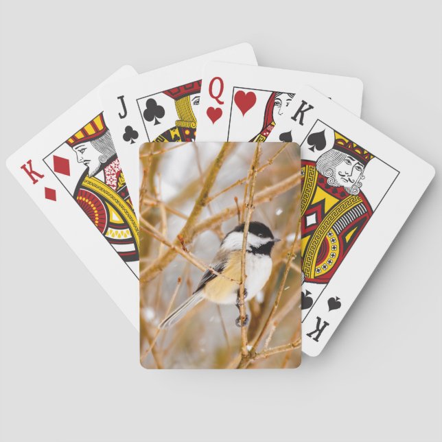 Baraja De Cartas Carbonero Común - Fotografía Original (Reverso)