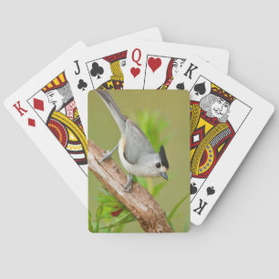 Baraja De Cartas Carbonero Crestinegro
