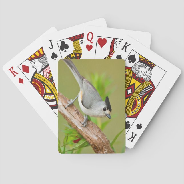 Baraja De Cartas Carbonero Crestinegro (Reverso)