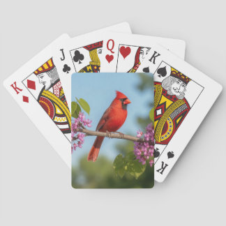 Baraja De Cartas Cardenal en una rama de Redbud
