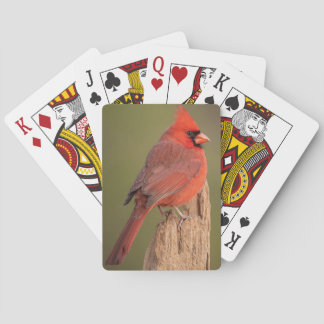 Baraja De Cartas Cardenal Rojo