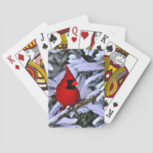 Baraja De Cartas Cardenal rojo invernal