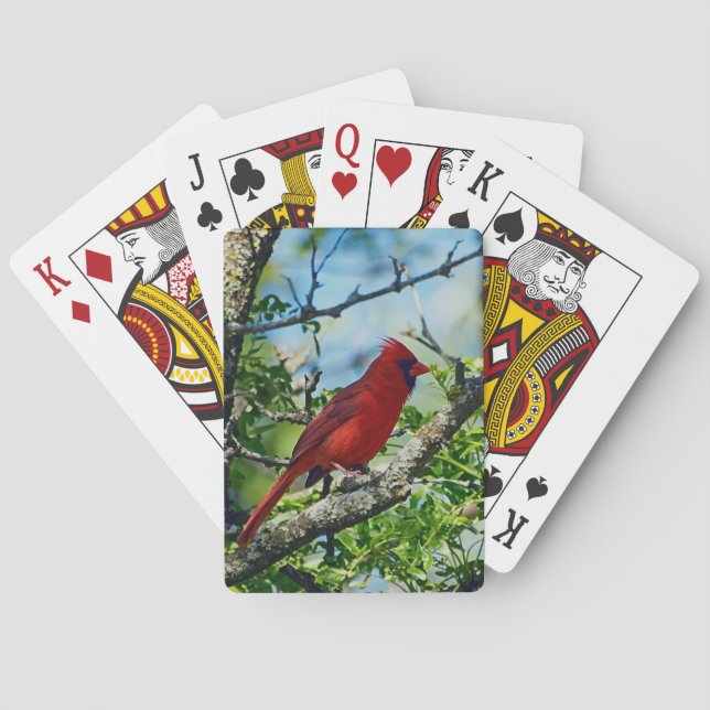 Baraja De Cartas Cardenal rojo Wild Bird (Reverso)