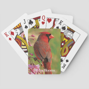 Baraja De Cartas Cardenal septentrional 2