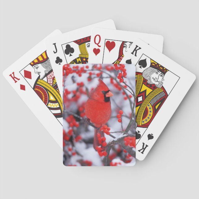 Baraja De Cartas Cardenal septentrional masculino, invierno, IL (Reverso)