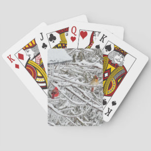Baraja De Cartas Cardenales