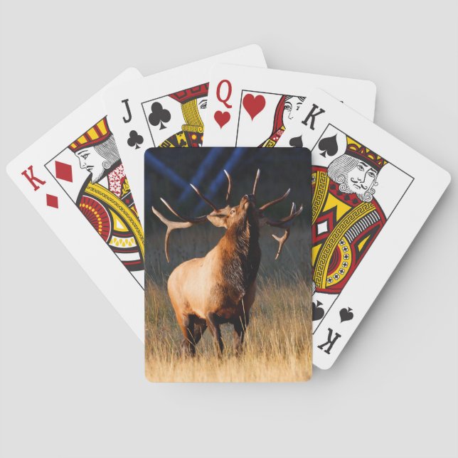 Baraja De Cartas Carga Elk (Reverso)